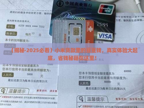 小米贷款里的豆豆钱