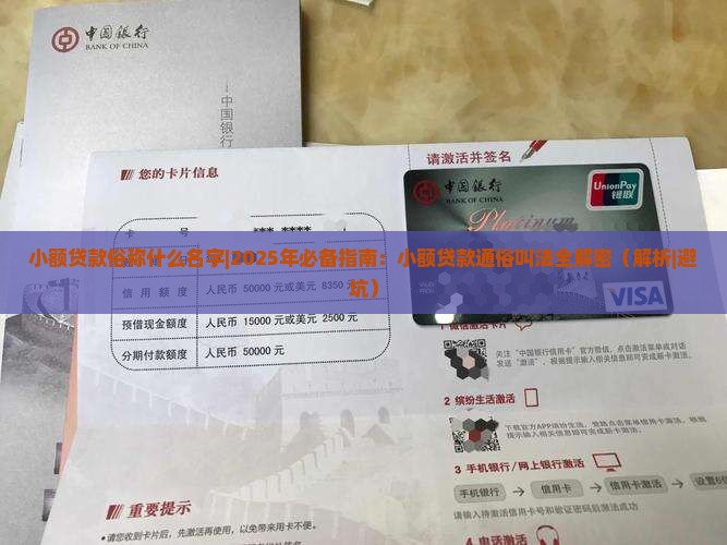小额贷款俗称什么名字