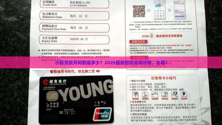 小额贷款月利标准