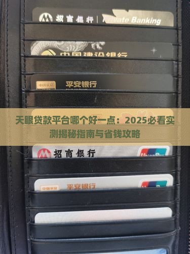 天眼贷款平台哪个好一点