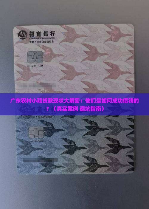 广东农村小额贷款现状