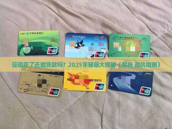 征信花的不行还能贷款吗