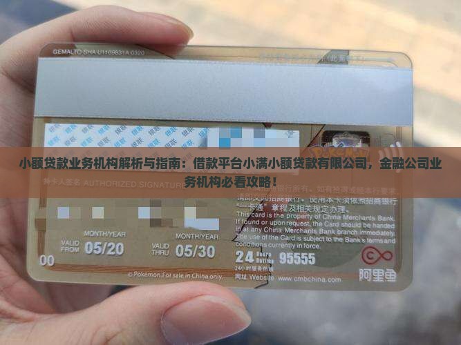 小额贷款业务机构