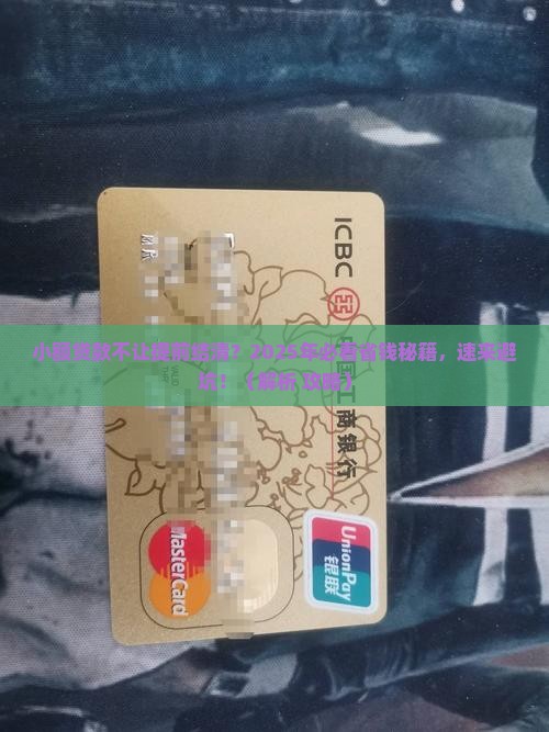 小额贷款不能提前结清