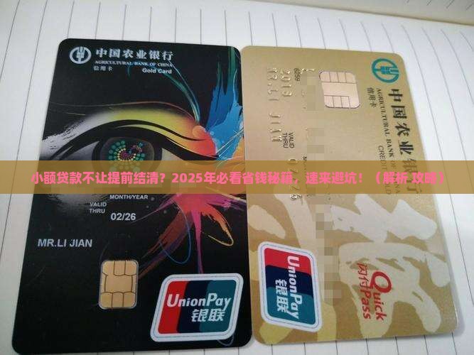 小额贷款不能提前结清