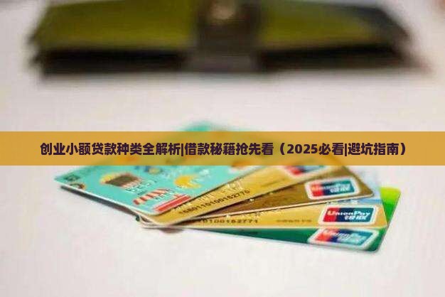 创业类小额贷款种类
