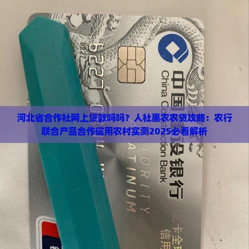 合作社能在网上贷款吗吗