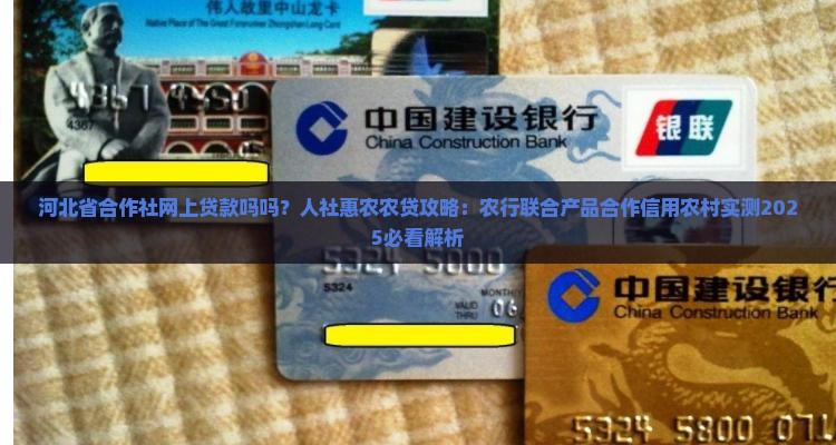 合作社能在网上贷款吗吗