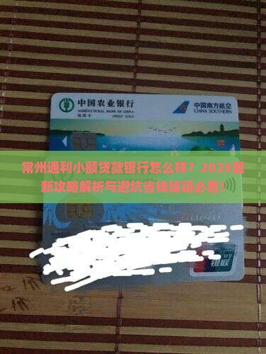 常州通利小额贷款银行