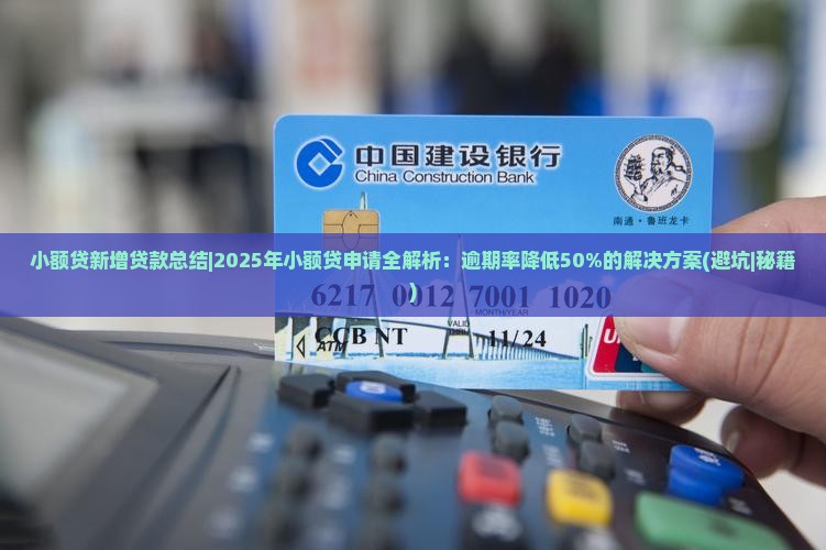 小额贷新增贷款总结
