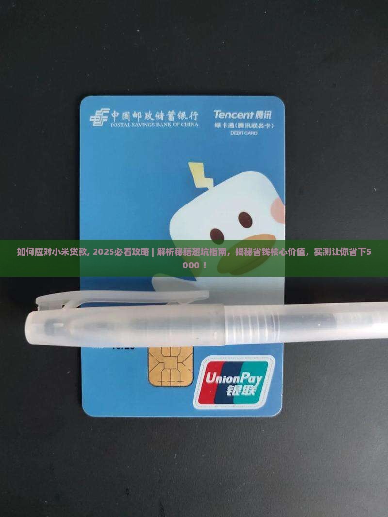 如何应对小米贷款