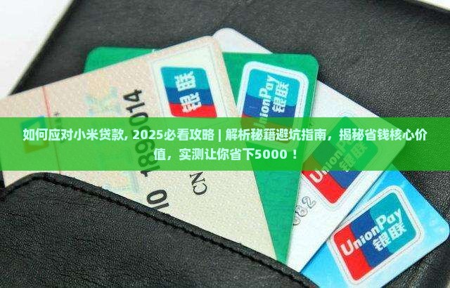 如何应对小米贷款
