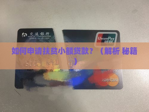 发放扶贫小额贷款