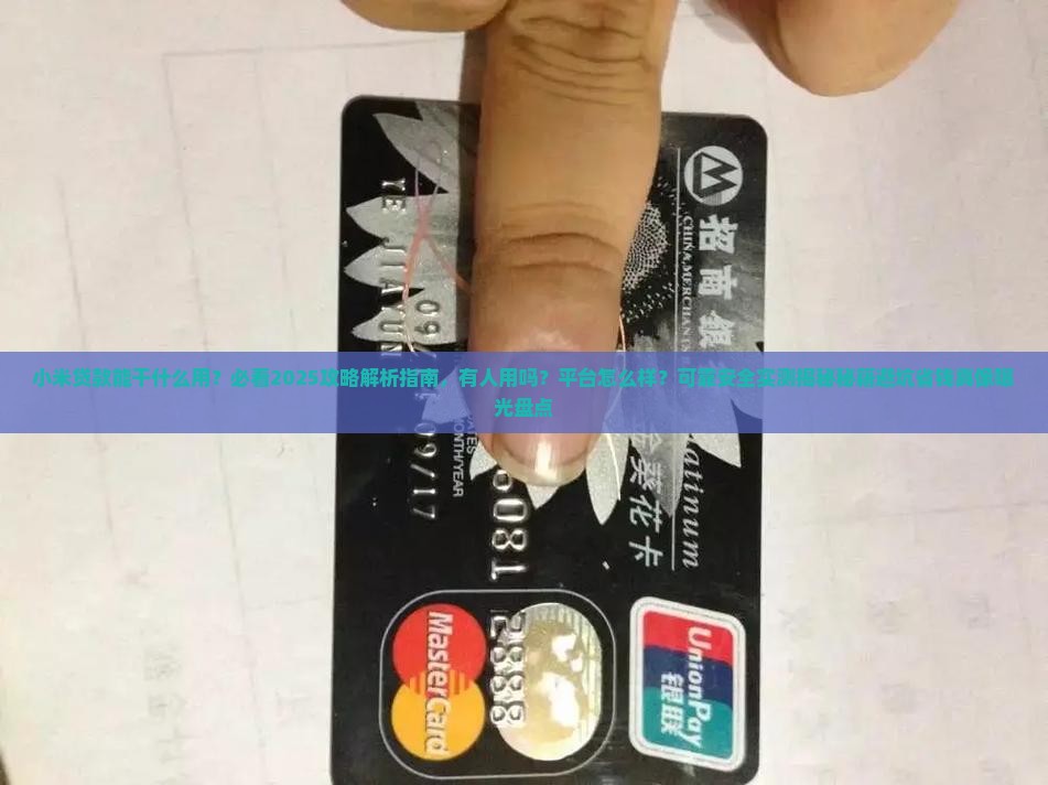 小米贷款能干什么
