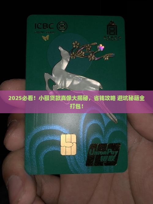 可看的小额贷款