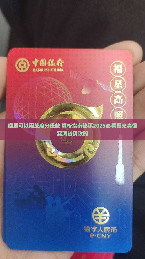 哪里可以用芝麻分贷款