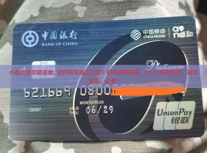 小额贷款欠款追缴 小额贷款欠款追缴