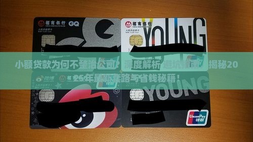 小额贷款为何不整治公司
