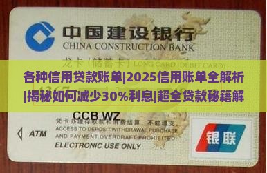 各种信用贷款账单