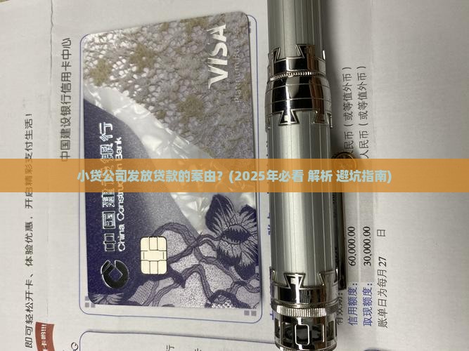 小贷公司发放贷款的案由