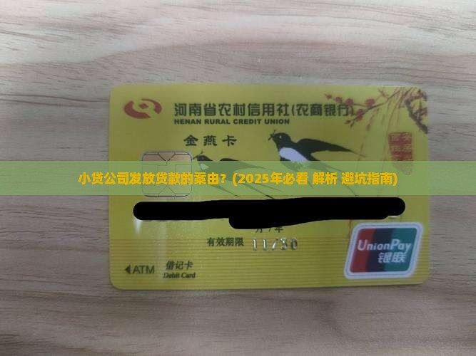 小贷公司发放贷款的案由