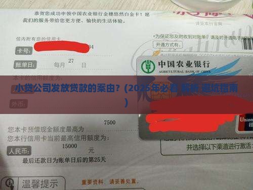 小贷公司发放贷款的案由
