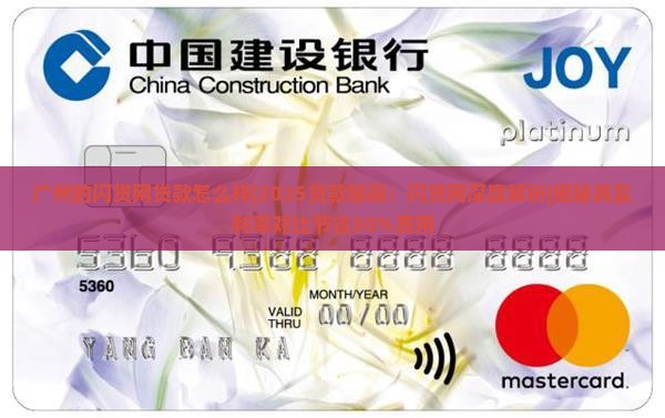 广州的闪贷网贷款怎么样