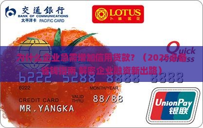 增加企业信用贷款