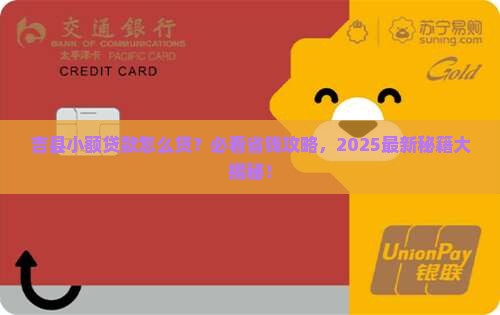 吉县小额贷款政策规定