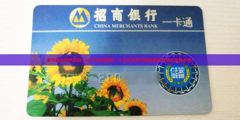 十几年手机号能贷款吗吗