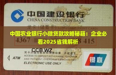 小微贷款农业银行