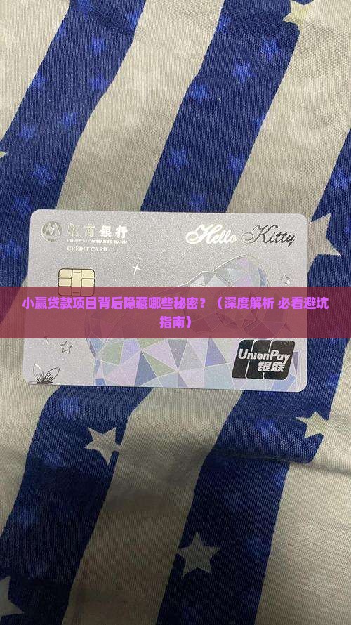 小赢贷款项目有哪些公司