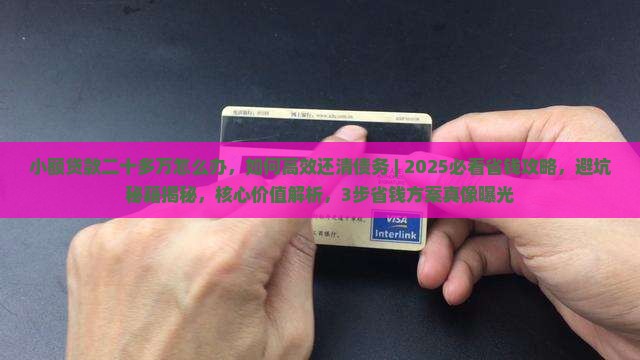 小额贷款二十多万怎么办