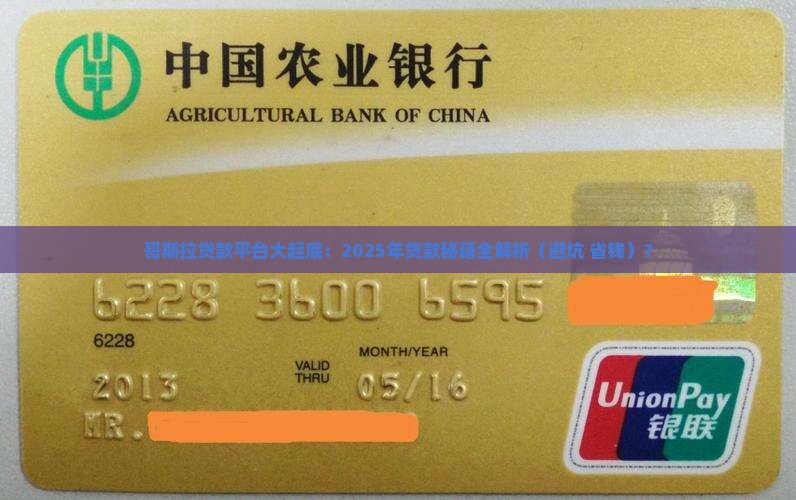 哥斯拉贷款平台