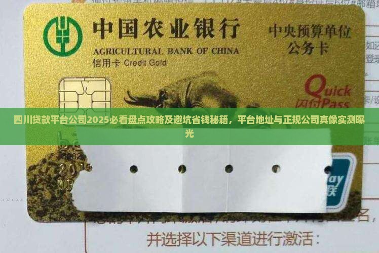 四川贷款平台公司