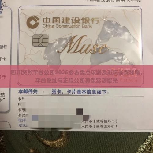 四川贷款平台公司
