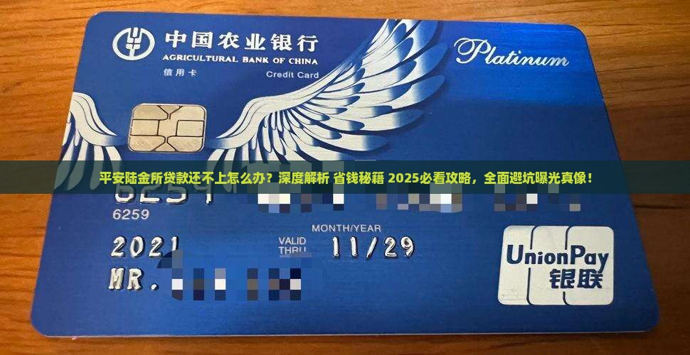 平安陆金所贷款换不上