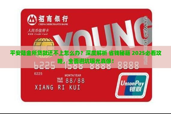 平安陆金所贷款换不上