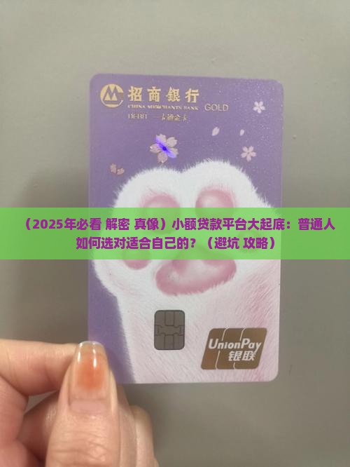 小额贷款平台哪家合适