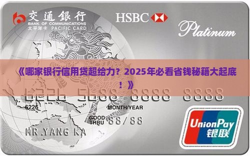 哪家银行有信用贷款的