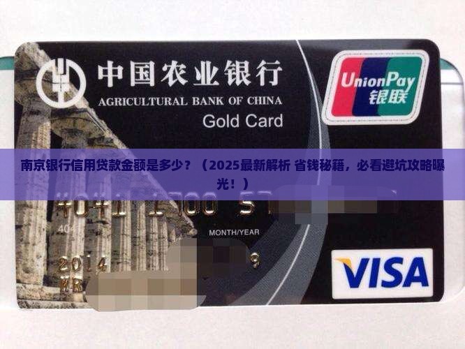 南京银行信用贷款金额