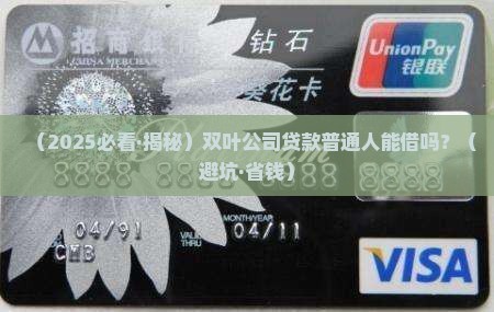 双叶公司贷款