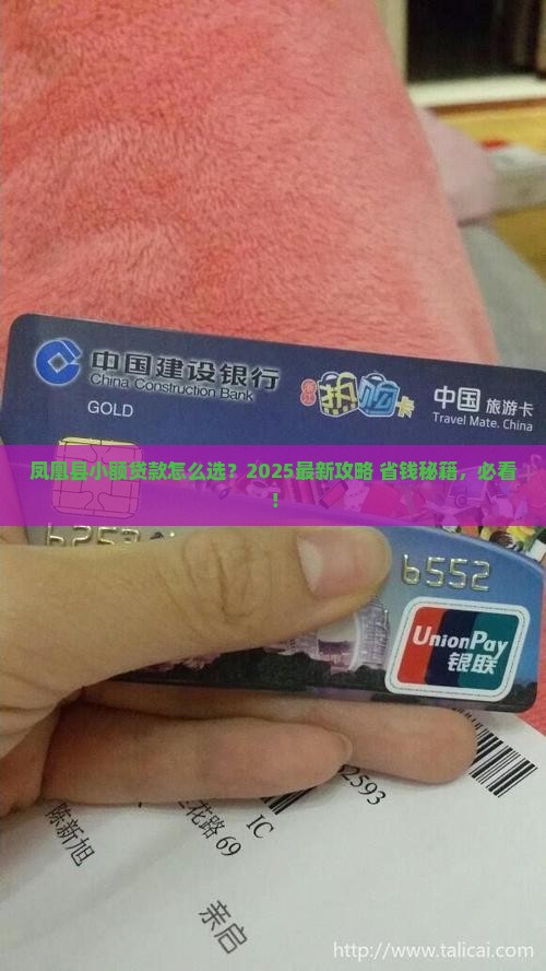 凤凰县小额贷款
