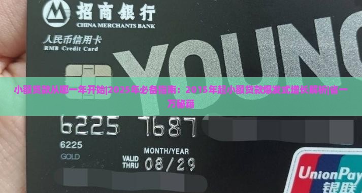 小额贷款从哪一年开始
