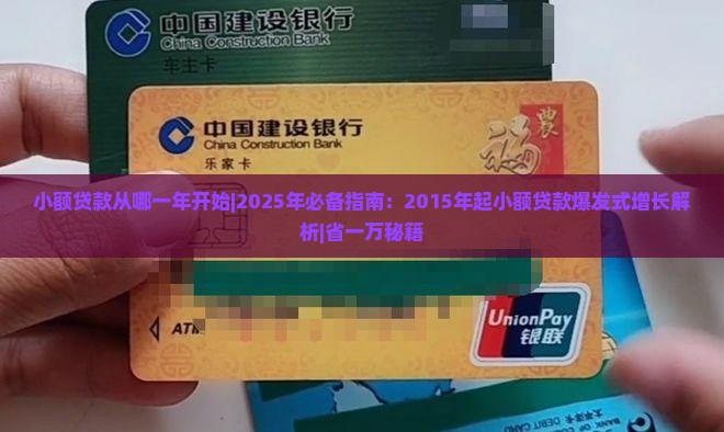 小额贷款从哪一年开始