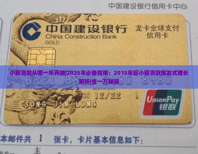 小额贷款从哪一年开始