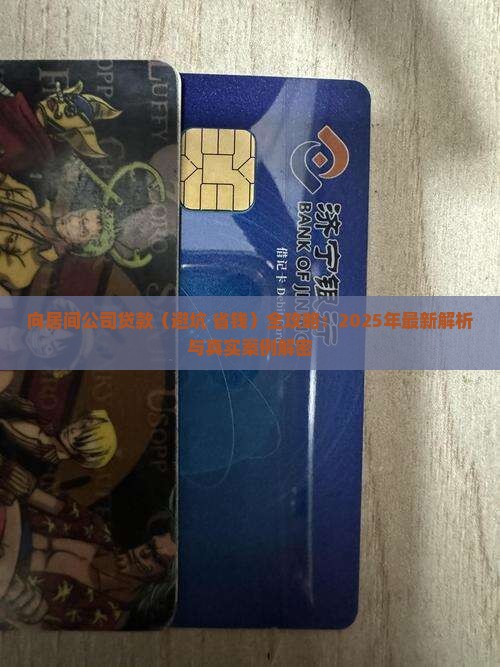 向居间公司贷款