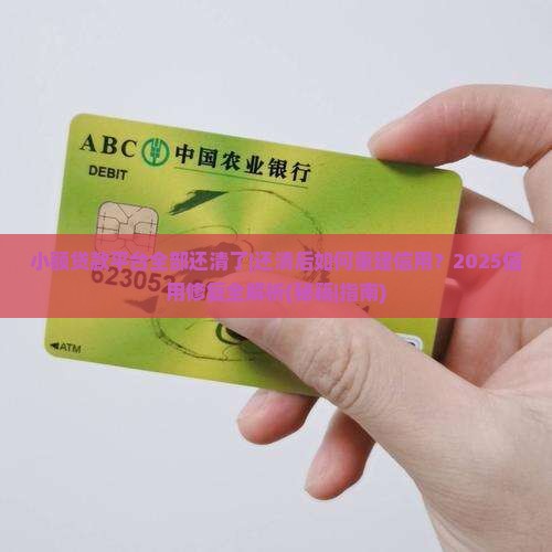 小额贷款平台全部还清了