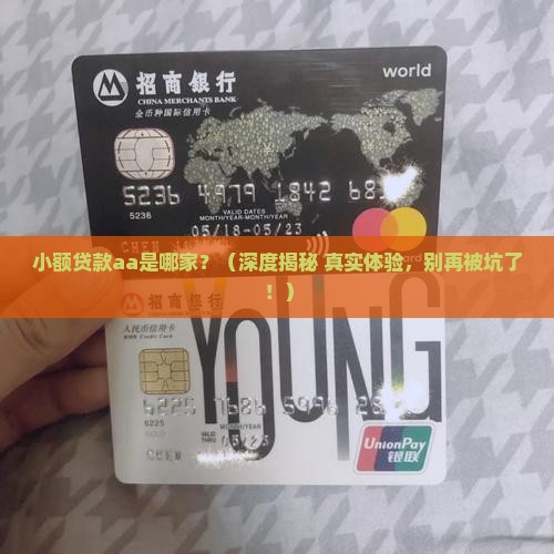 小额贷款aa是哪个公司