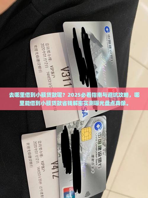 去哪里借到小额贷款呢 去哪里借到小额贷款呢